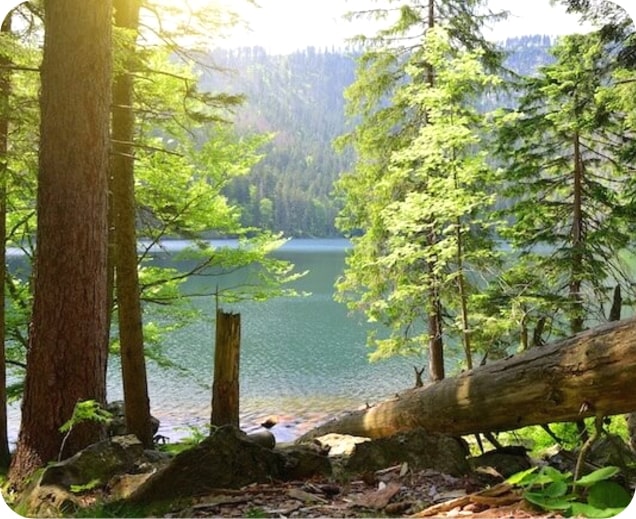 Šumava